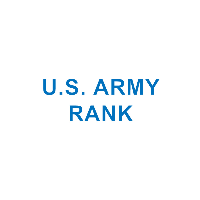 U.S. ARMY RANK/WING/BADGE