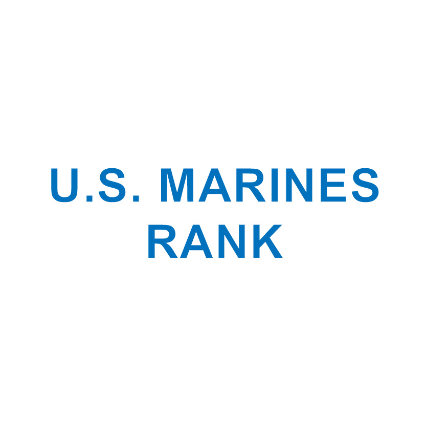 U.S. Marines RANK/WING/BADGE