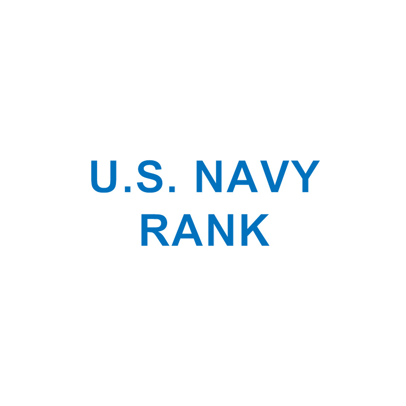 U.S. Navy RANK/WING/BADGE