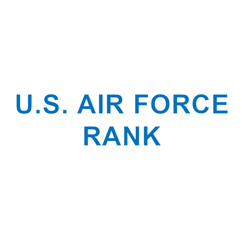U.S. Air Force RANK/WING/BADGE