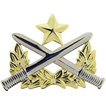 BDG-ARMY,RANGER QUALIFICATION