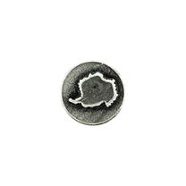 DEV-ANTARCTICA,SVC,SILVER