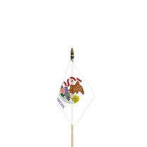 FLAG-ILLINOIS