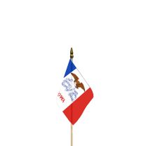 FLAG-IOWA