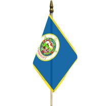 FLAG-MINNESOTA