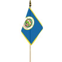 FLAG-MINNESOTA