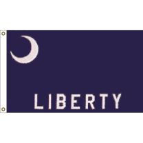 FLAG-USA,FORT MOULTRIE