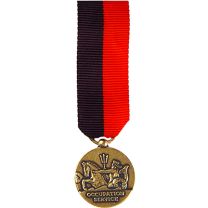 MEDAL-USN,OCCUP.SVC,WWII