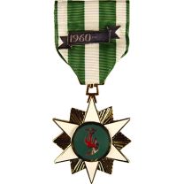 MEDAL-VIET,CAMPAIGN