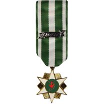 MEDAL-VIET,CAMPAIGN