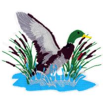 PATCH-DUCK,MALLARD