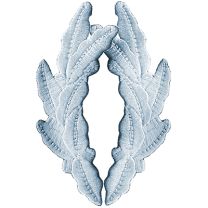 PATCH-SCRAM.EGG,SILVER