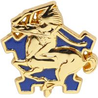 PIN-ARMY,009TH CAV.RGT.