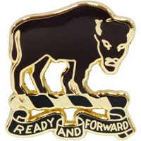 PIN-ARMY,010TH CAV.RGT.