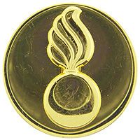 PIN-ARMY,ENL,ORDNANCE