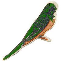 PIN-BIRD,PARAKEET