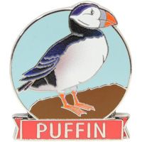 PIN-BIRD,PUFFIN