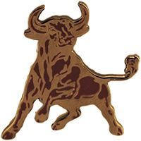 PIN-BULL,FIGHTING
