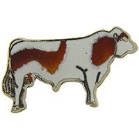 PIN-BULL,SIMMENTAL