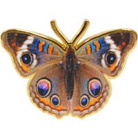 PIN-BUTTERFLY,BUCK EYE
