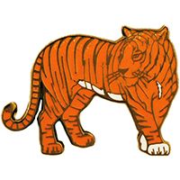 PIN-CAT,TIGER