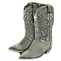 PIN-COWBOY,BOOTS,PWT