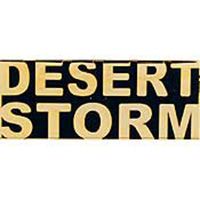 PIN-DEST.STORM,SCRIPT