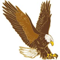 PIN-EAGLE,LAND,RIGHT