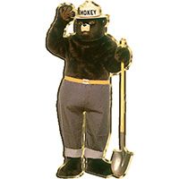 PIN-FIRE,SMOKEY THE BEAR
