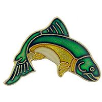 PIN-FISH,TROUT