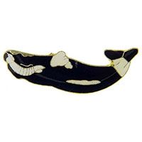 PIN-FISH,WHALE,BALEEN