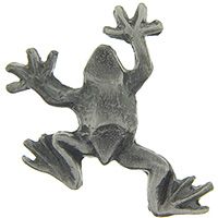 PIN-FROG,CLIMBING