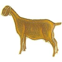 PIN-GOAT