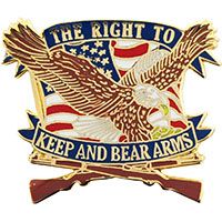 PIN-GUN,RIGHT TO KEEP,EGL