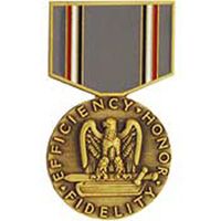 PIN-MEDAL,USAF GOOD COND.