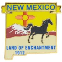 PIN-NEW MEXICO