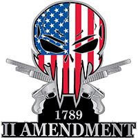 PIN-SNIPER II AMENDMENT