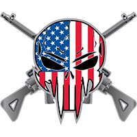 PIN-SNIPER & RIFLES RW&B