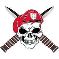 PIN-SOLDIER OF FORTUNE