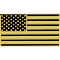 PIN-USA FLAG,DESERT