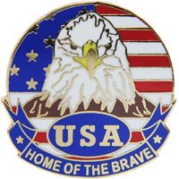 PIN-USA,FLAG,EAGLE,CIRCLE