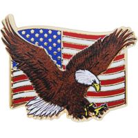 PIN-USA,FLAG,EAGLE