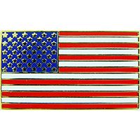 PIN-USA FLAG