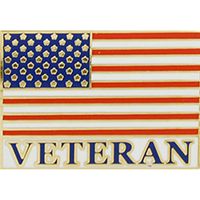 PIN-VETERAN FLAG,USA