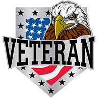 PIN-VETERAN,EAGLE,USA
