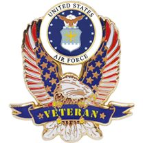 PIN-USAF VETERAN,EAGLE