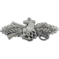 PIN-USN,SEABEE,COMBAT WFR