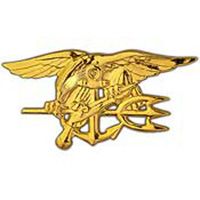 PIN-USN,SEAL TEAM,TRI,GLD