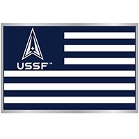 PIN-USSF SPACE FORCE FLAG