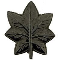 RANK-USMC,MAJ/LTC,SUBDUED